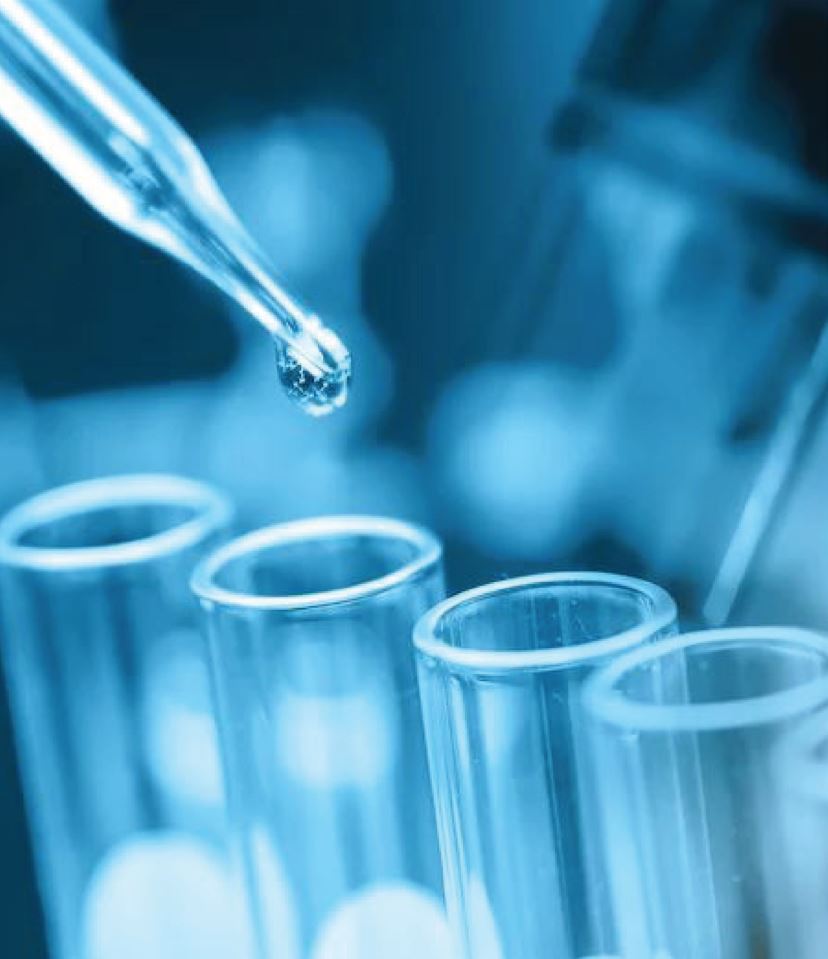 SPK OneStop Supplier For Automotive Parts